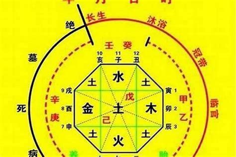 五行八字查询|生辰八字算命、五行喜用神查询（免费测算）